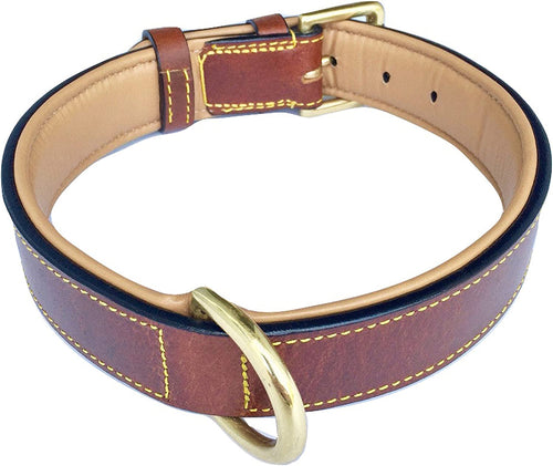 - Luxury Real Leather Padded Dog Collar