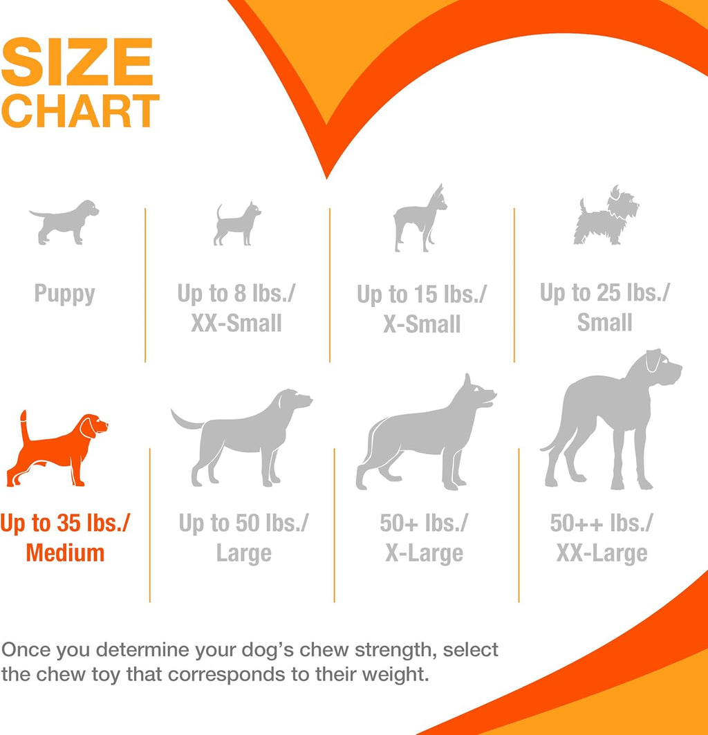 Classic Twin Pack Power Chew Flavored Durable Dog Chew Toy