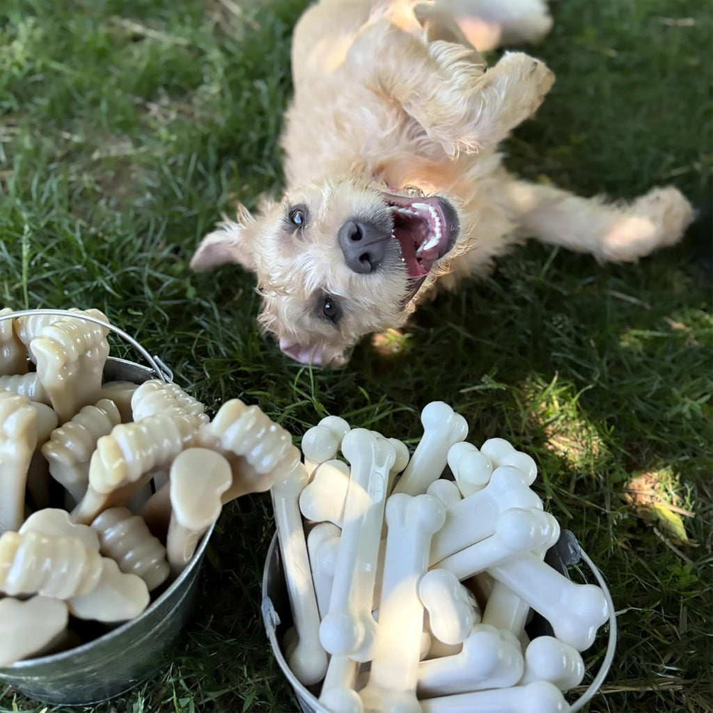 Classic Twin Pack Power Chew Flavored Durable Dog Chew Toy